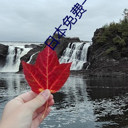日本(běn)免费(fèi)一本(běn)一二区三区