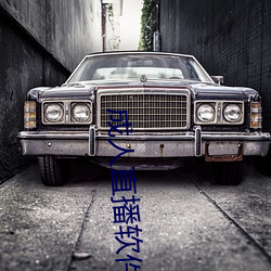 成(成)人直播软件(件)