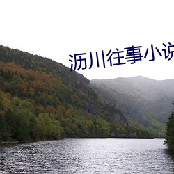 沥川往事小(xiǎo)说