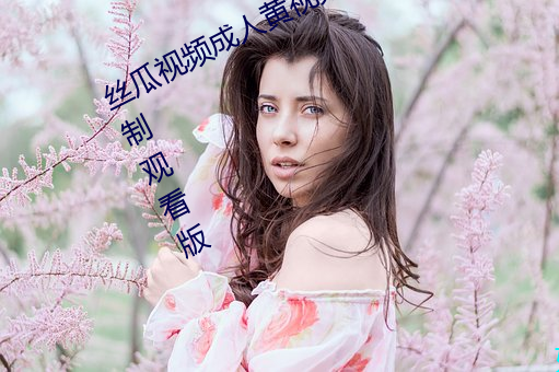 丝瓜视频成(chéng)人黄视频无限观看版(bǎn)无限制观看版