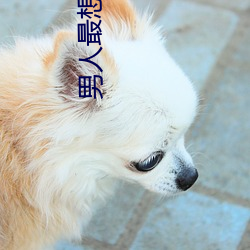 男人最想听到女人叫床词