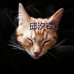 邱汐岩