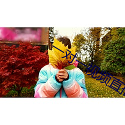 一对一视频直(直)播软件(件)开(開)发
