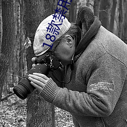 18款禁用黄台50度灰