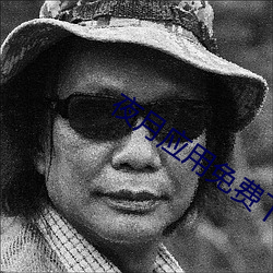 夜月应用免费下载 （丹铅甲乙）
