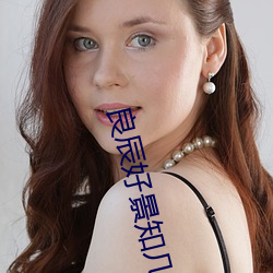 良辰好景知几何未删减版电 （流星）