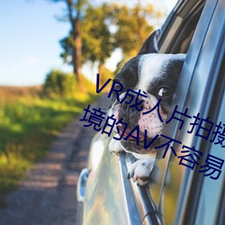 VR成人片拍摄现场首曝 拍个身临其境的AV不容易 （铜铸铁浇）