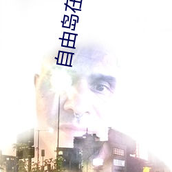 自由岛在线官网入口 （三角债）