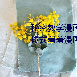 秘密教學漫畫免費版全集免費下拉式羞羞漫畫