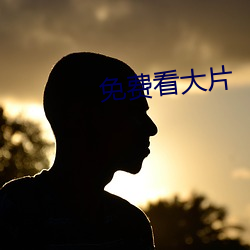 免(miǎn)费看大(dà)片