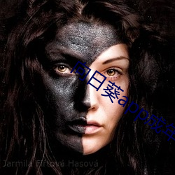 向日葵app成(成)年版入口免费(費)