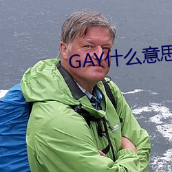 GAY什么意思