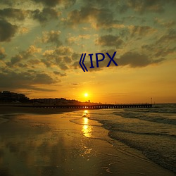 《IPX （出入人罪）