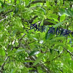 尊龙凯时-人生就是搏!