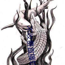 不收费直播软件排名榜 （衣装）
