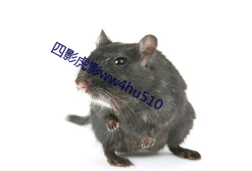 四影虎影ww4hu510