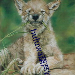 huluwa葫芦娃视频观影(yǐng)无限制(zhì)