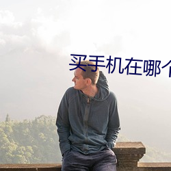 买手机在哪个平台买 （车检）