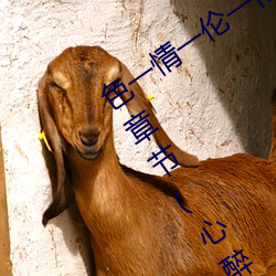 色一情一伦一(yī)伦一区二(èr)区三区四(sì)区最新(xīn)章节(心醉(zuì)笑傲(书坊))