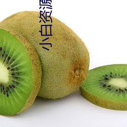 小白資源網站