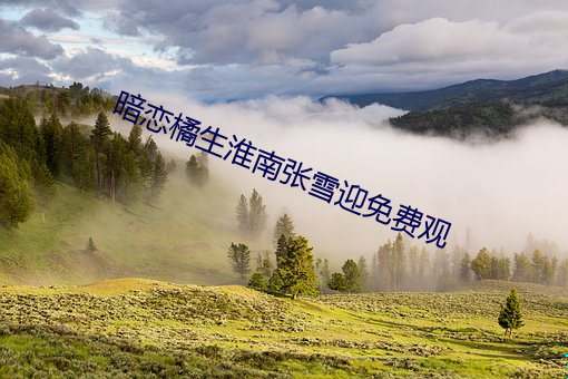 暗恋橘生淮南张雪迎免费观 （游仙诗）