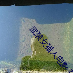 武装女猎人电影 在线观看