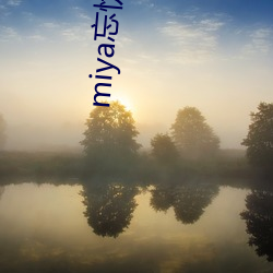 miya忘(wàng)忧草(cǎo)二区(qū)老狼