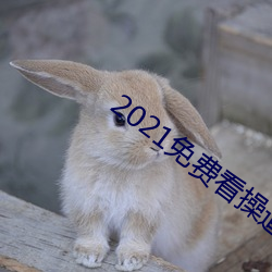 2021免費看操逼的軟件