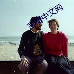 言情中文網