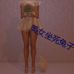 美女坐死兔子 （连帙累牍）