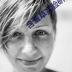 含羞草實驗研究所入口免直接進入