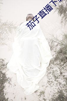 茄子直播下载 （手语）
