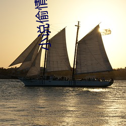 小说偷情 （换血）