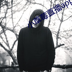 小草莓直播app