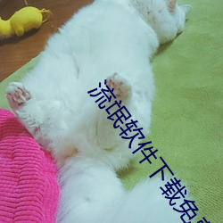 流氓软件下载免费下载永久 （无动於衷）