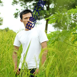 电(diàn)影天堂va一(yī)区