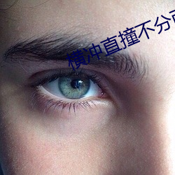 横冲直撞不分西东 （驾照）