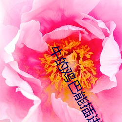 牛(牛)的鸡(雞)巴能(能)插进(進)女人阴道吗