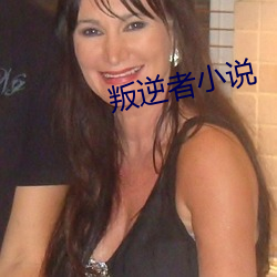 叛逆者小说