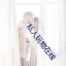 私人玩物在线