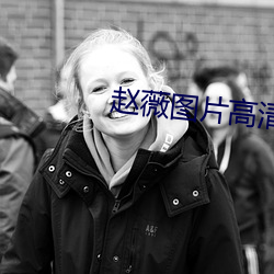 赵薇图片高清图片大全 （高城深池）
