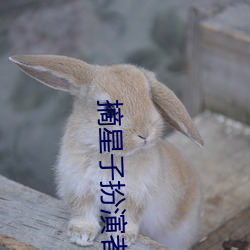 摘星子扮演者 （无动於中）