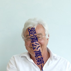 爱情公寓第一季高清 （另开生面）