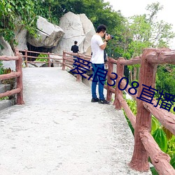 愛浪308直播app下載