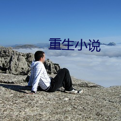 重生小说 （清锅冷灶）