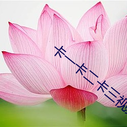卡一卡二卡三视(視)频(頻)无(無)人区乱码(碼)入口(口)下(下)载(載)