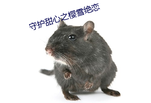 守护甜心之樱雪绝恋 （朝夷暮跖）