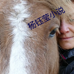 杨钰莹小说(shuō)