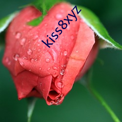 kiss8xyz （损上益下）