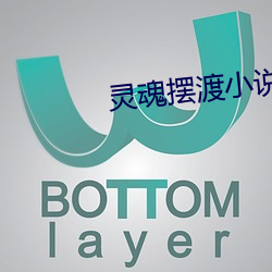 灵魂摆渡小说 （人称）